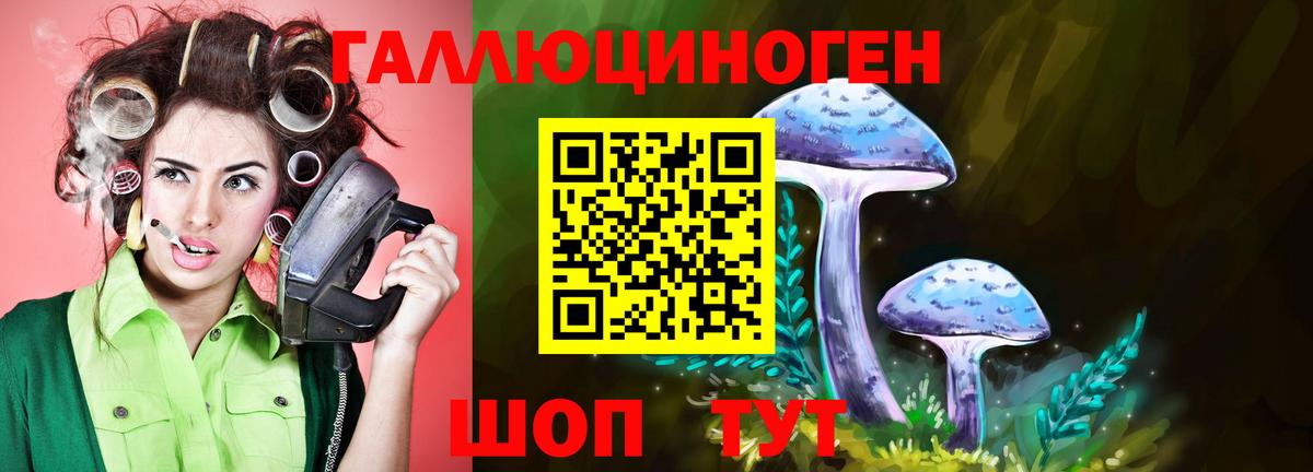 Наро-Фоминск  где продают наркотики  Вход с VPN  Галлюциногенные грибы Psilocybe  Галлюциногенные грибы мицелий 